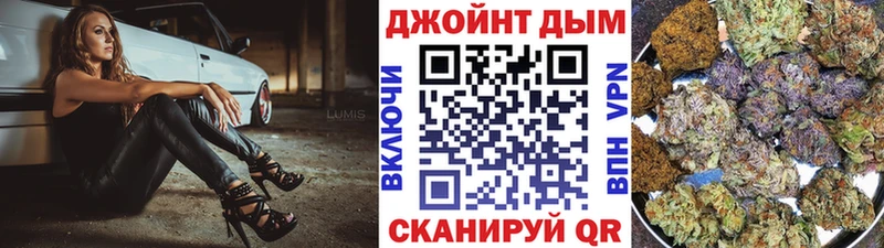 как найти наркотики  Болохово  Конопля семена 